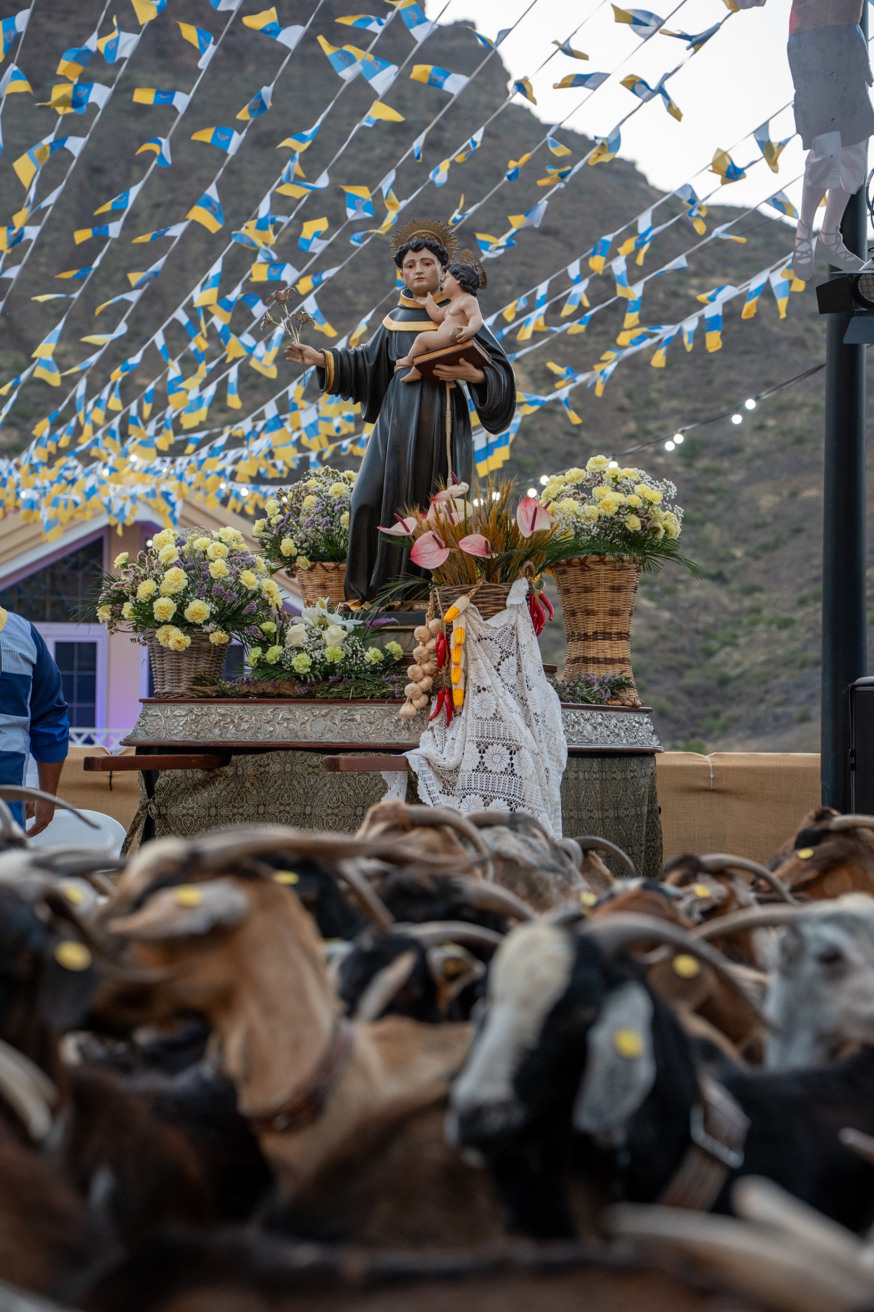Fiestas Patronales de San Antonio "El Chico" 2026 - 003