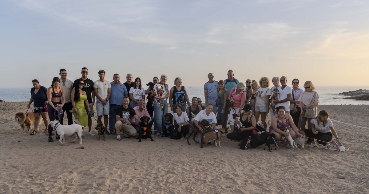 Mogán habilita cinco playas  para mascotas