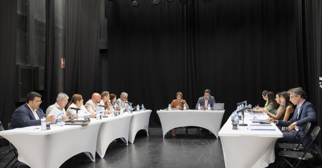 Mogán acoge la Comisión  de Turismo de la FECAM