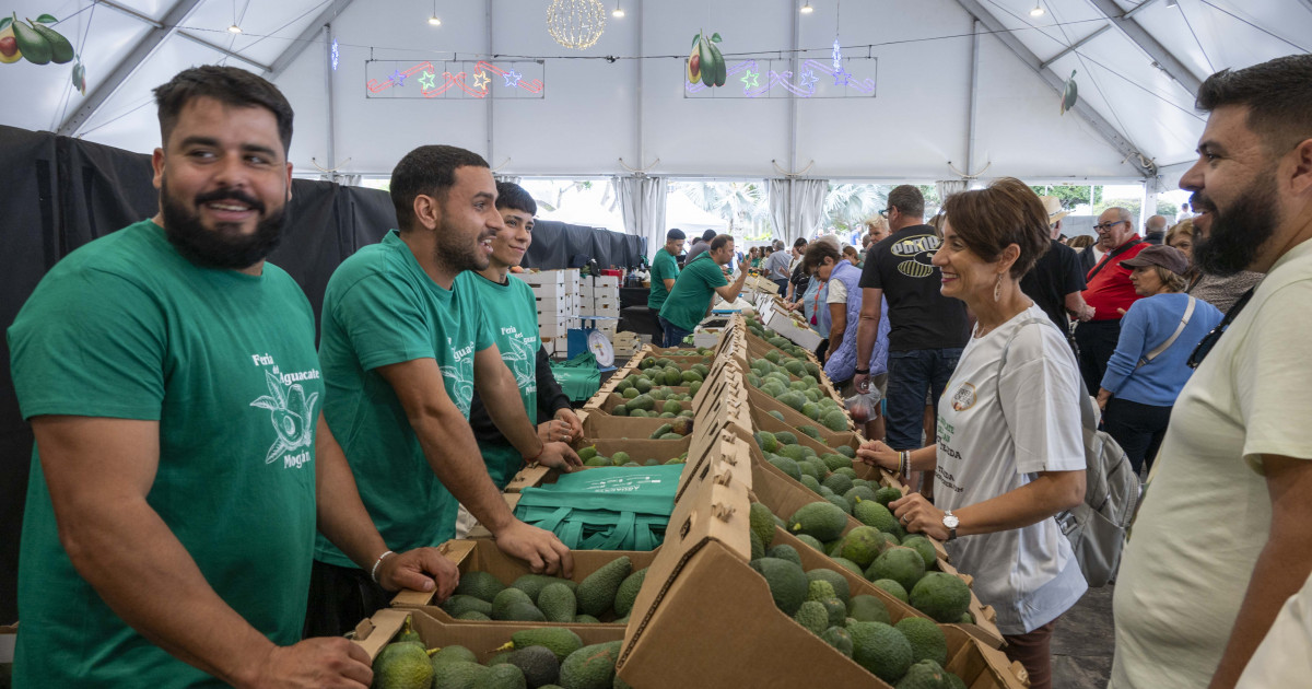 Diez años de sabor de Mogán:  el aguacate seduce en su feria de invierno