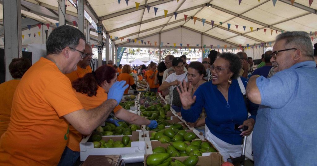 El verano sabe a mangos  y aguacates de Mogán