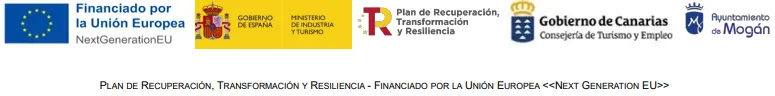 BANNER Plan PSTD